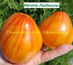 Мечта Людмилы (7)11.jpg