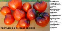 Припудренное сердце дракона.jpg