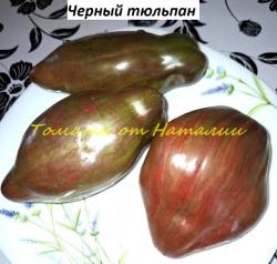 Черный тюльпан (4)11.jpg