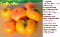 За Рулём.jpg