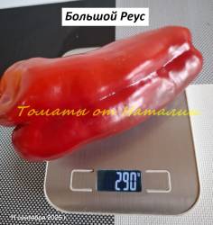 Большой Реус (6).jpg