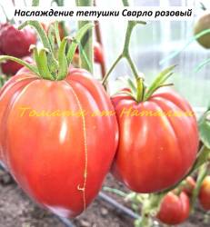 Наслаждение тетушки Сварло розовый(2)11.jpg