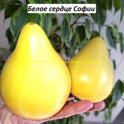 Белое сердце Софии (3)11.jpg