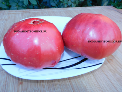 1кальяни.png