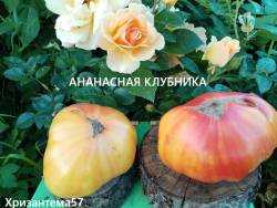 Ананасная клубника (а) — копия.jpg