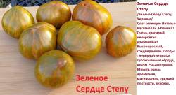 Зеленое Сердце Степу.jpg