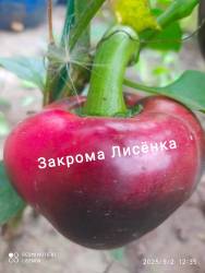C_IMG_20250902_150333.jpg