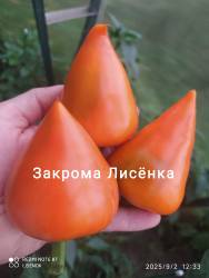C_IMG_20250902_150403.jpg