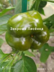 C_IMG_20250902_150654.jpg