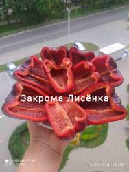 C_IMG_20250908_211248.jpg