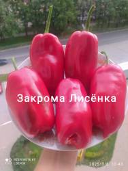 C_IMG_20250909_074317.jpg
