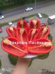 C_IMG_20250909_074452.jpg
