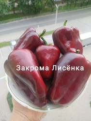 C_IMG_20250909_081927.jpg