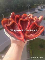 C_IMG_20250918_102257.jpg