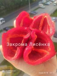 C_IMG_20250918_103900.jpg