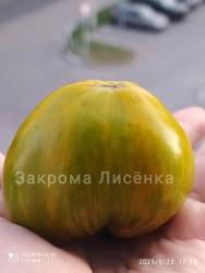 C_IMG_20250923_175408.jpg