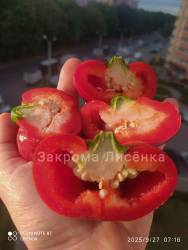 C_IMG_20250927_124528.jpg