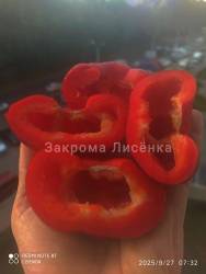 C_IMG_20250927_124616.jpg