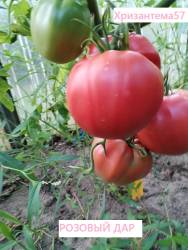 IMG_20250808_194355.jpg
