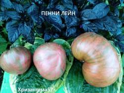 IMG_20250821_193616.jpg