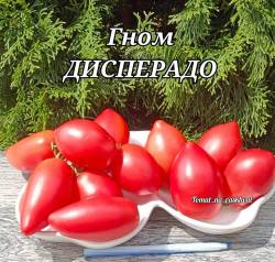 Polish_20250804_155620564.jpg