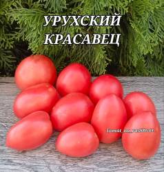 Polish_20250821_161509244.jpg