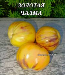 Polish_20250821_165102134.jpg