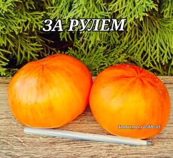 Polish_20250821_180949709.jpg