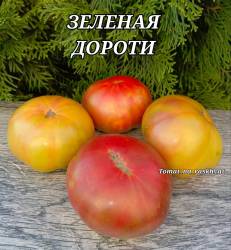 Polish_20250821_181448149.jpg