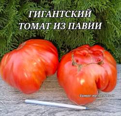 Polish_20250822_194142842.jpg