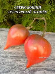 Polish_20250828_061735240.jpg