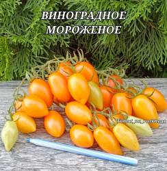 Polish_20250828_220725952.jpg