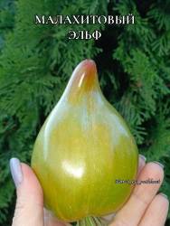 Polish_20250910_185631674.jpg