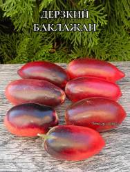 Polish_20250910_193235082.jpg