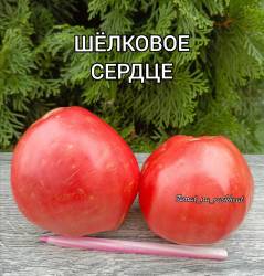 Polish_20250910_194545403.jpg
