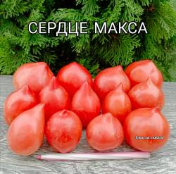 Polish_20250910_194935516.jpg