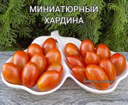 Polish_20250915_144823144.jpg