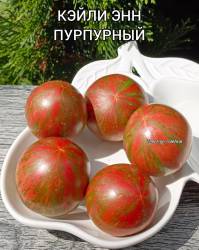 Polish_20250919_145912865.jpg