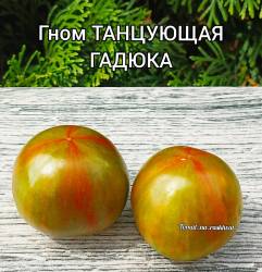 Polish_20250919_150201820.jpg