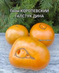 Polish_20250919_151332750.jpg