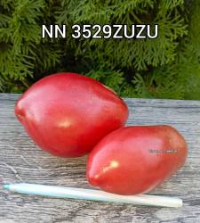 Polish_20250922_083145231.jpg
