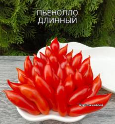 Polish_20250922_083641473.jpg