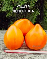 Polish_20250922_161035114.jpg