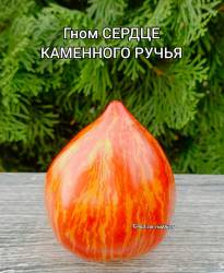 Polish_20250922_162413541.jpg