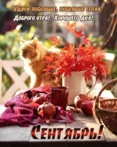wishpics_ru_5759.jpg