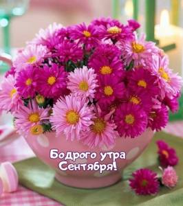 wishpics_ru_5801.jpg