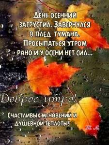 0248dfb9fae046218c1291fb50b6a758.jpg