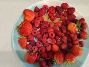 0810.thumb.jpg.30683e414a62a96d346a90dccf94ab0e.jpg