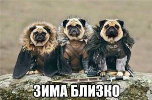 1001669406.jpeg