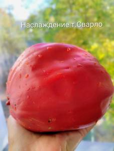 IMG_20250930_101331~3.jpg